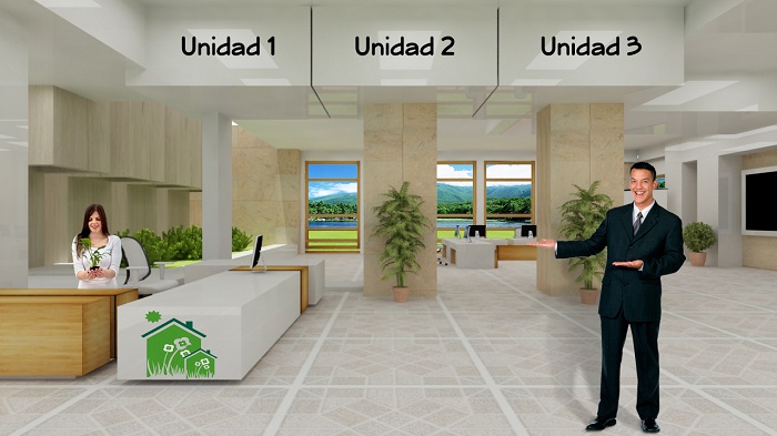 Contenidos