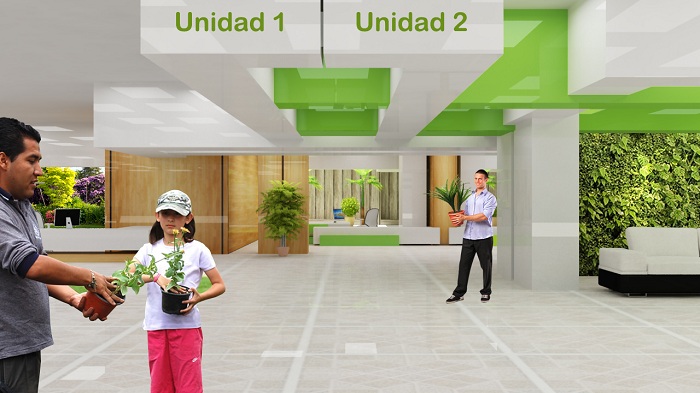 Contenidos