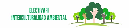 Electiva II - Interculturalidad Ambiental